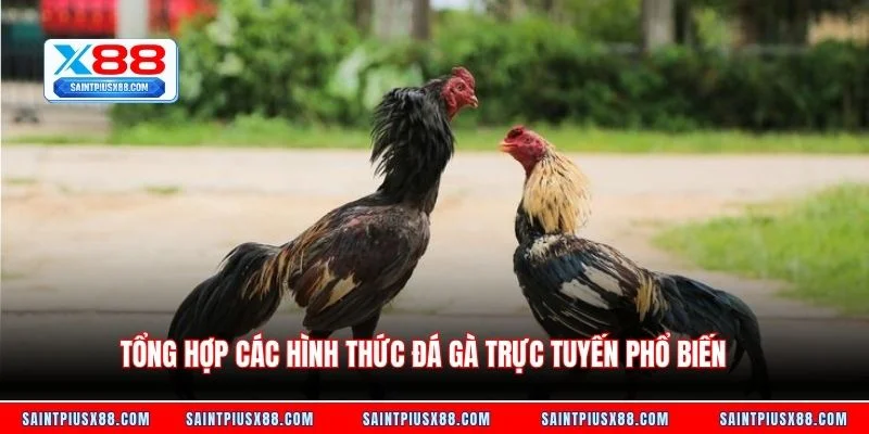 Tổng hợp các hình thức đá gà trực tuyến phổ biến